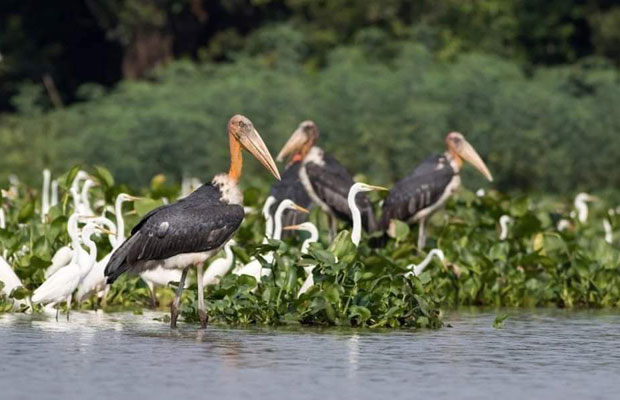 2-Days Private Tours : Angkor Wat , Tonle Sap & Beng Mealea
