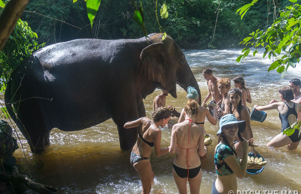 Mayura Puchrey Zoo