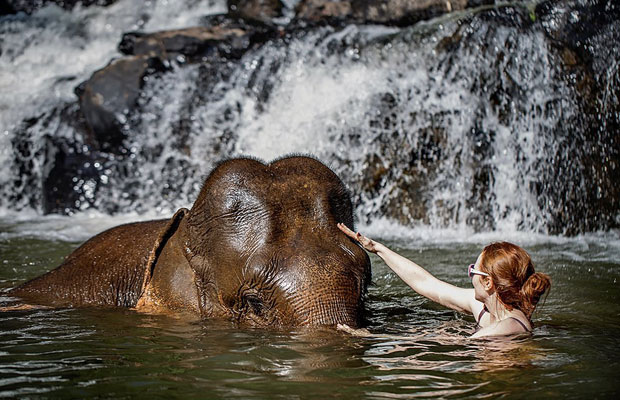 Mayura Puchrey Zoo